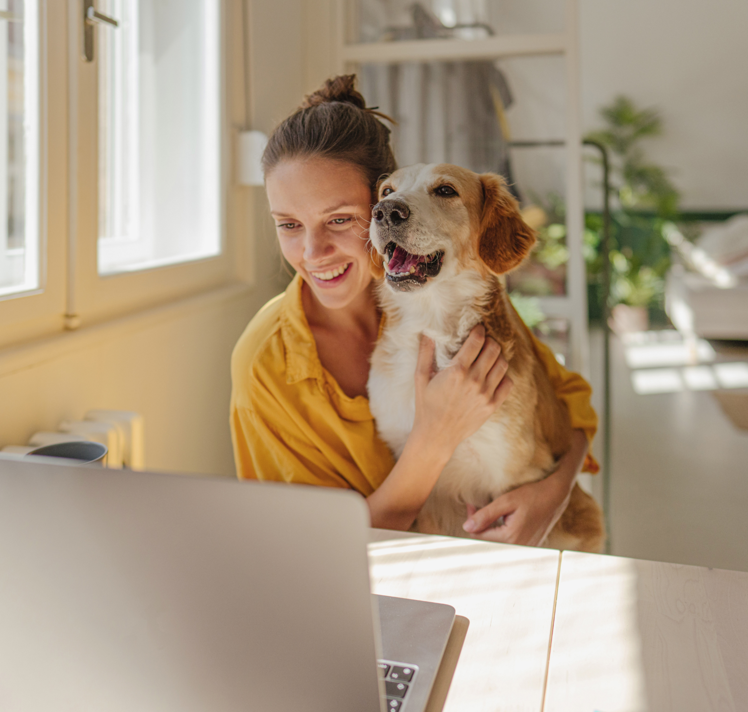 Frau gelb Laptop Hund